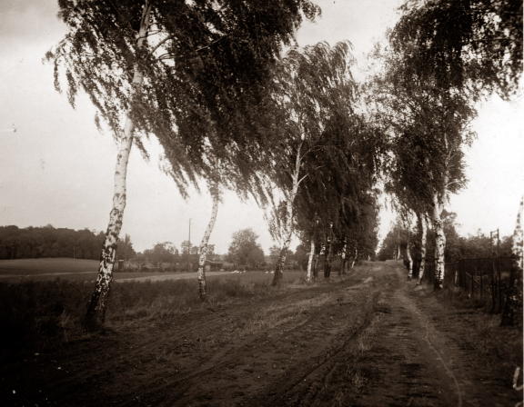 Frsterweg