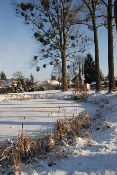 Teich an der Altlandsberger Chaussee
