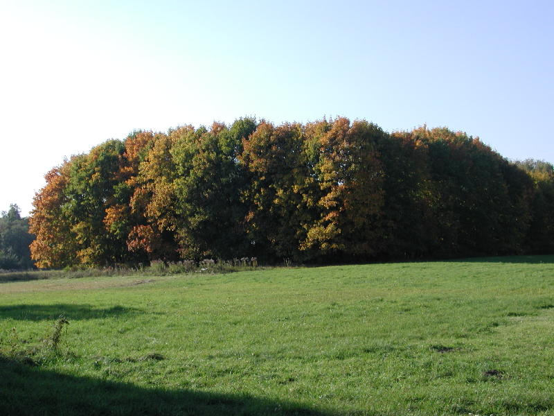 Herbstlandschaft