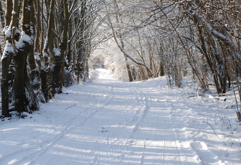 Heuweg